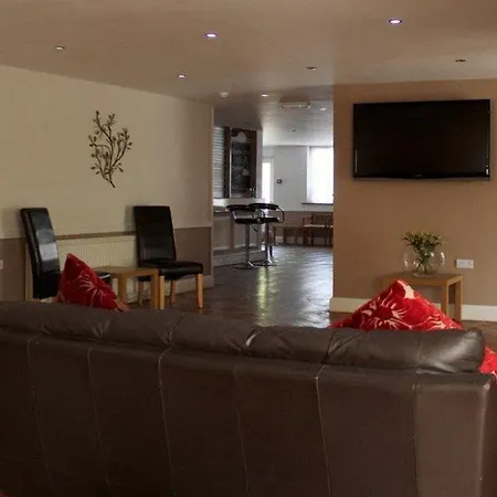 The Liver View 3*
