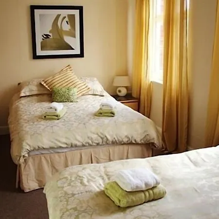 The Liver View 3*