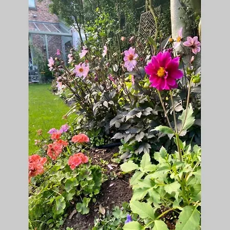 Lyndhurst - Victorian With Heated Pool * Liverpool