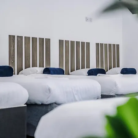 Host & - Fleet Nightlife Apartment