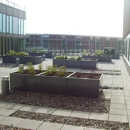 Cove Paradise Street Apart Otel