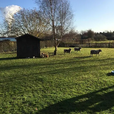 Bed & Breakfast The Barn 3*