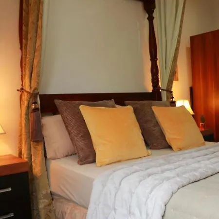 Hostel The Pod Travel *