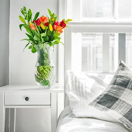 Executive For Luxury Apartamento
