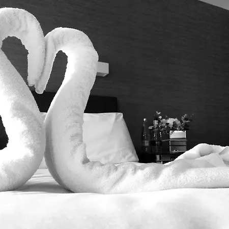 The Park Hotell 3*